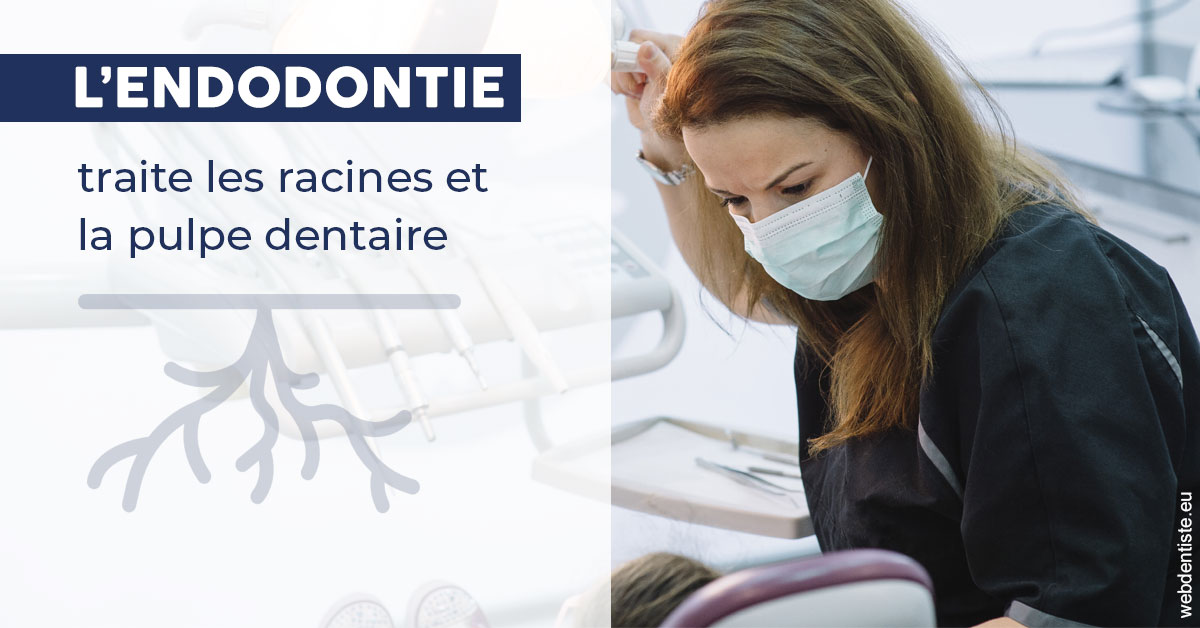 https://selarl-couchat-et-associes.chirurgiens-dentistes.fr/L'endodontie 1