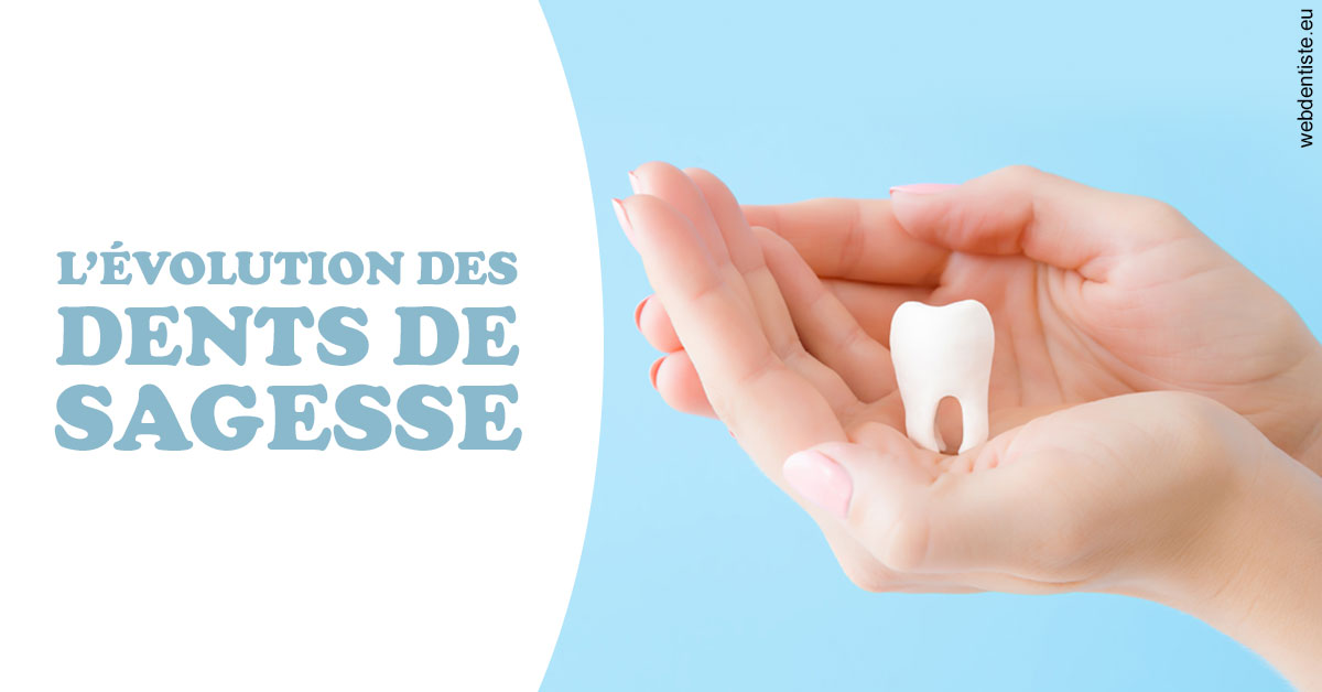 https://selarl-couchat-et-associes.chirurgiens-dentistes.fr/Evolution dents de sagesse 1