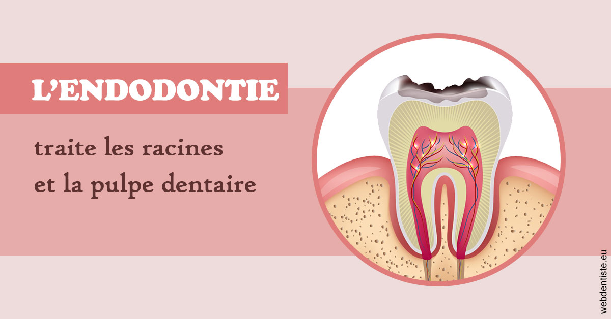 https://selarl-couchat-et-associes.chirurgiens-dentistes.fr/L'endodontie 2