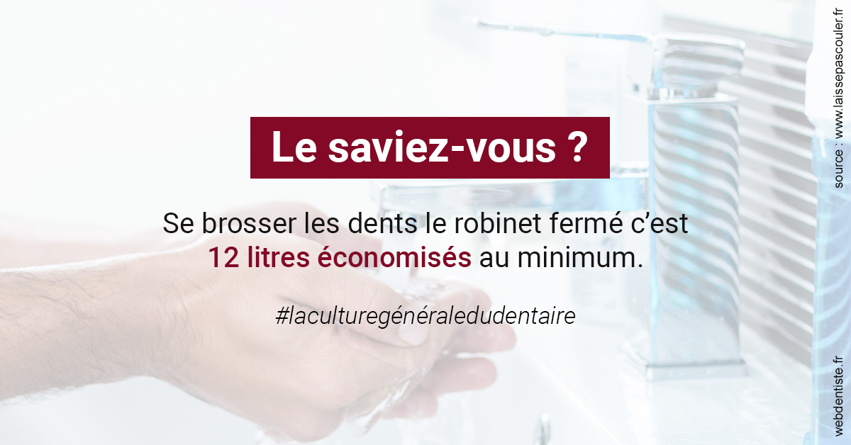 https://selarl-couchat-et-associes.chirurgiens-dentistes.fr/Economies d'eau 2